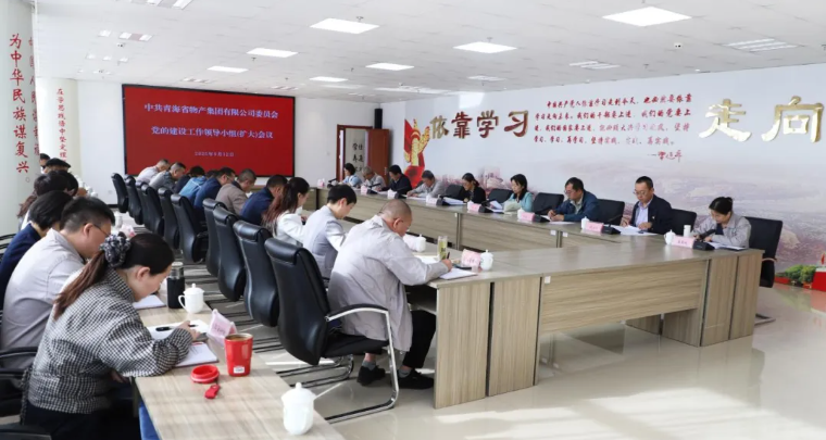 省物產(chǎn)集團(tuán)黨委召開黨的建設(shè)工作領(lǐng)導(dǎo)小組（擴大）會議