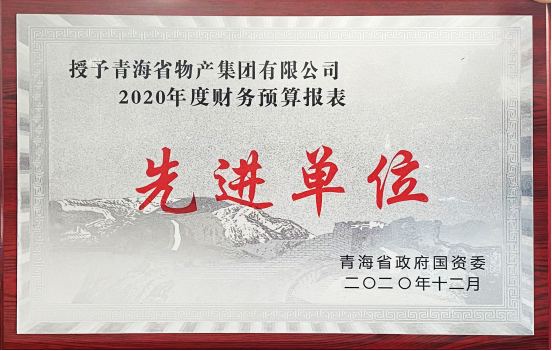 物產(chǎn)集團(tuán)榮獲國資委2020年度財(cái)務(wù)預(yù)算報(bào)表工作先進(jìn)單位和省財(cái)政廳2019年度全省