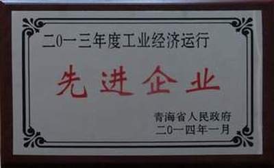 集團榮獲2013年度全省工業(yè)經(jīng)濟運行先進(jìn)企業(yè)